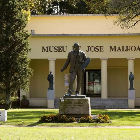 Casa Dos Capinha * קלדס דה ריינה