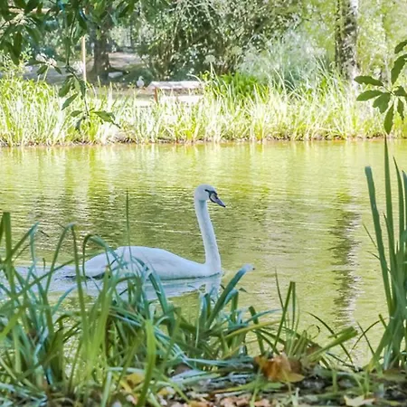 בית נופש Casa Dos Capinha