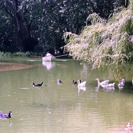 Vakantiehuis Casa Dos Capinha *