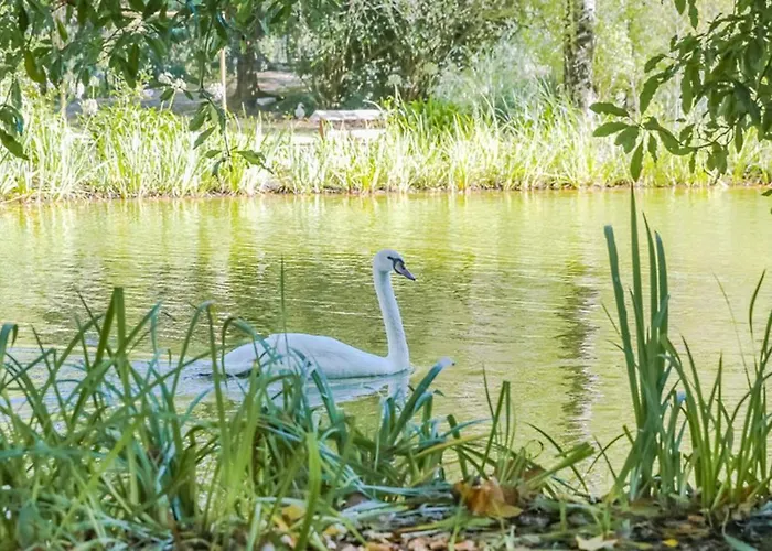 בית נופש Casa Dos Capinha